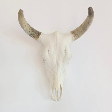 Sayulita  Oaxaca collection - Authentic Skulls