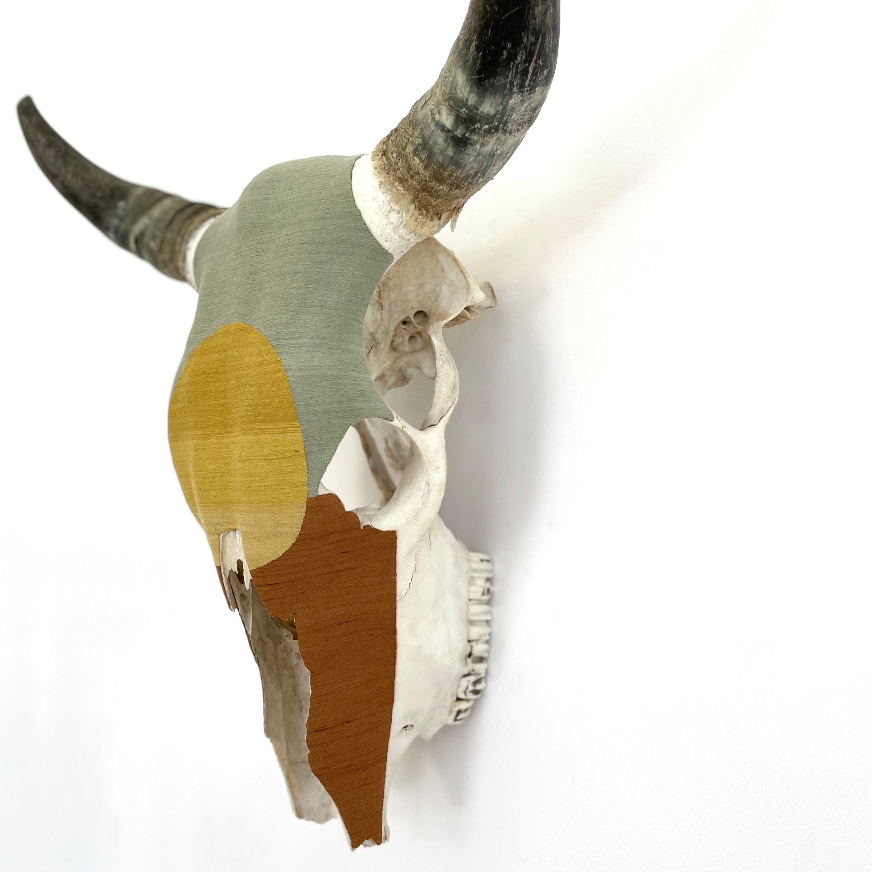 Authentic Skull - Oaxaca Collection - Arizona Day – Evoke the