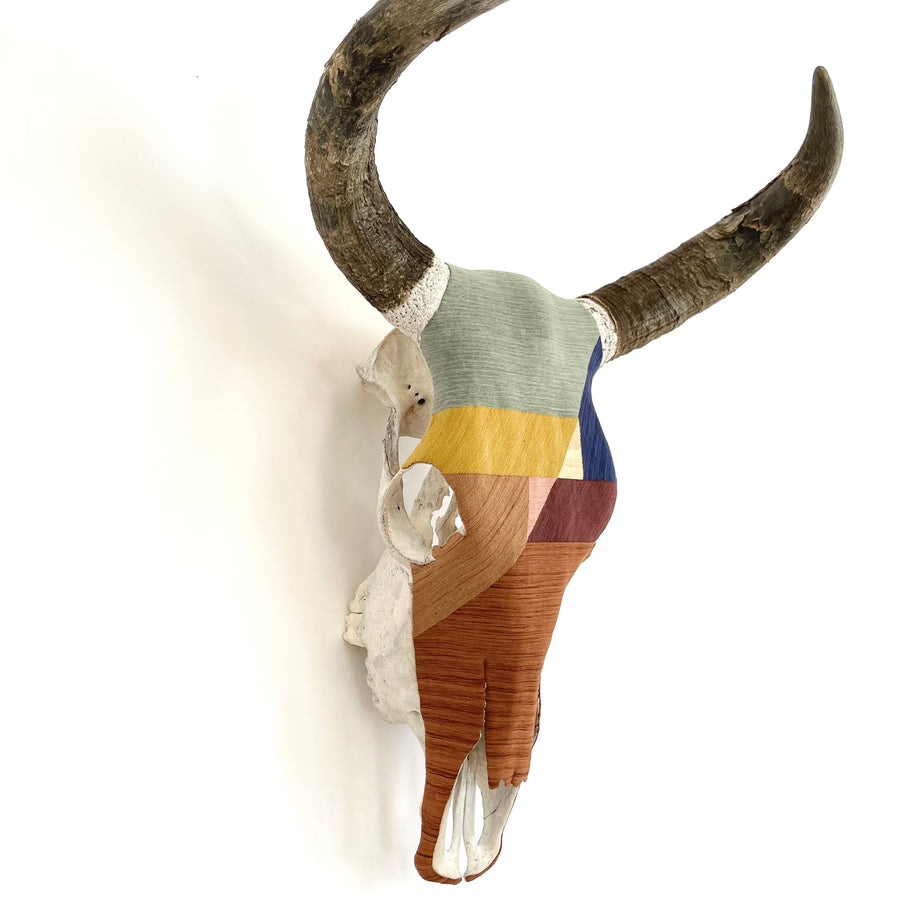 Authentic Skull - Oaxaca Collection - Barragán